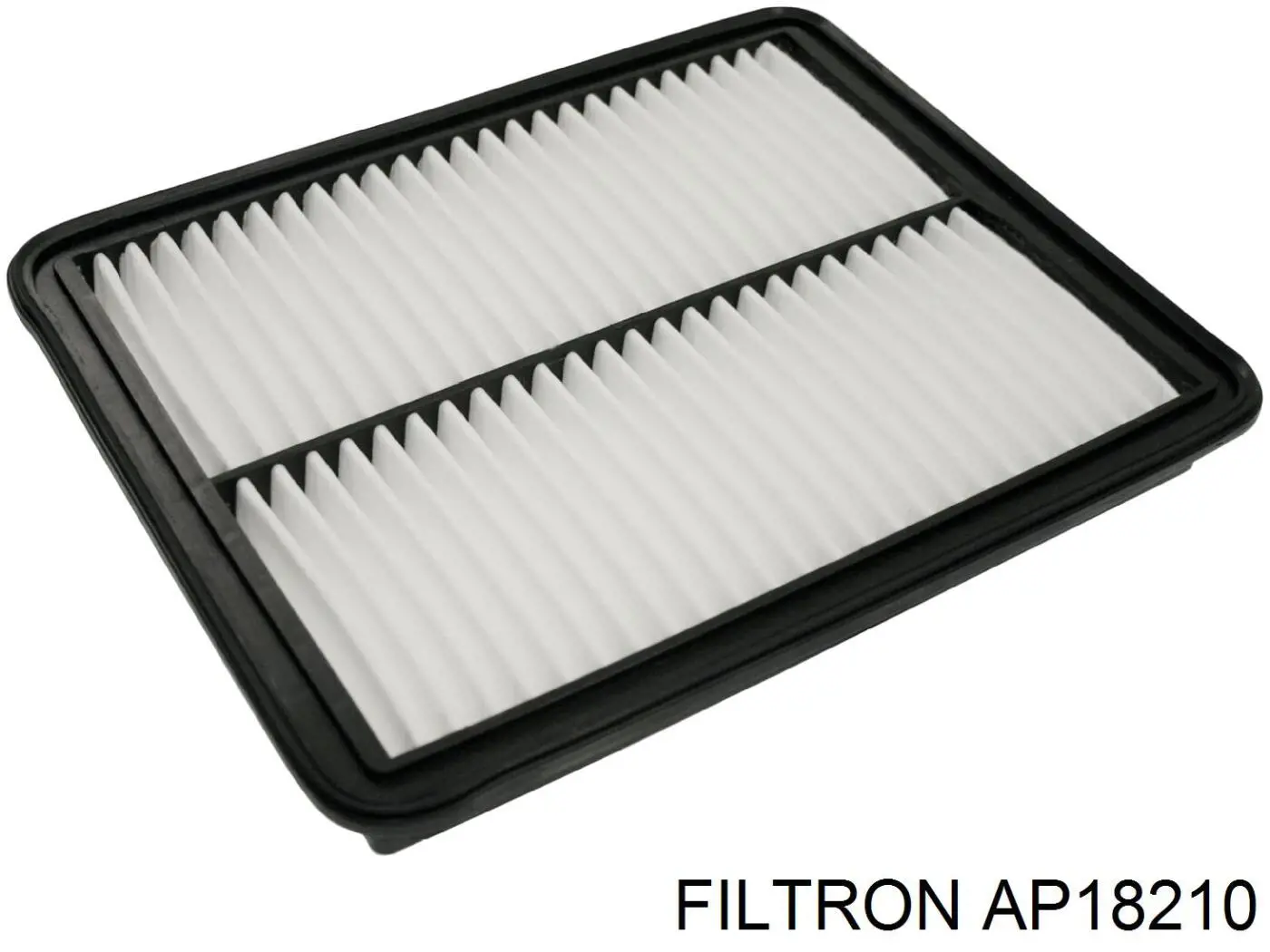 AP18210 Filtron filtro de aire