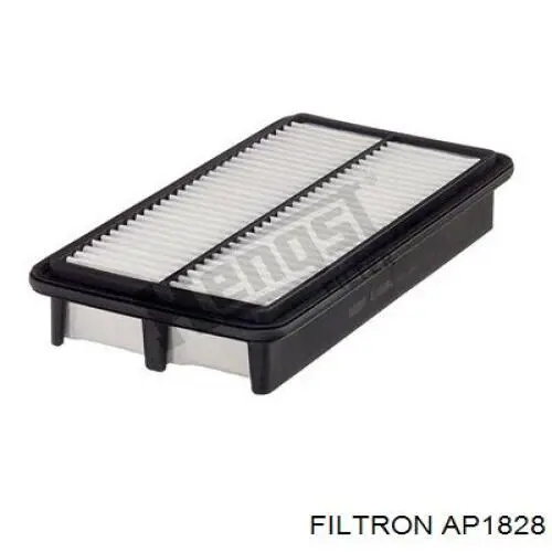 AP1828 Filtron filtro de aire