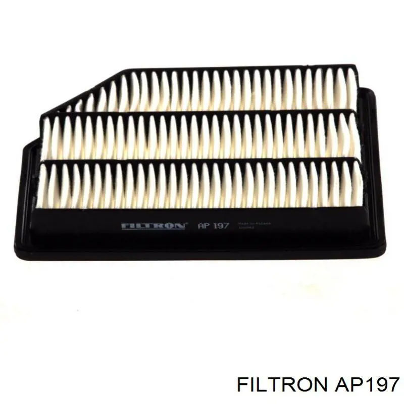 AP197 Filtron filtro de aire