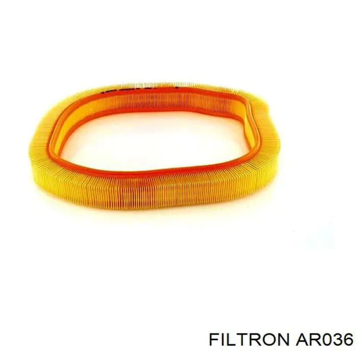 El filtro de aire Filtron AR036 precio, desde 12,77 EUR