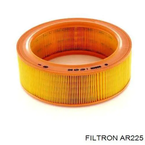 AR225 Filtron filtro de aire