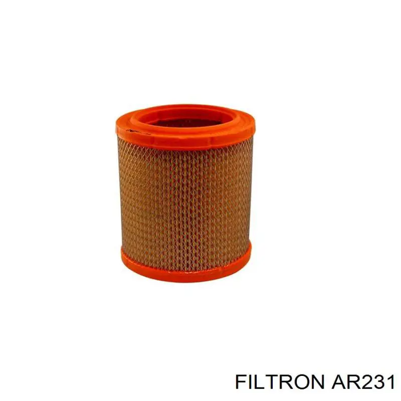 AR231 Filtron filtro de aire