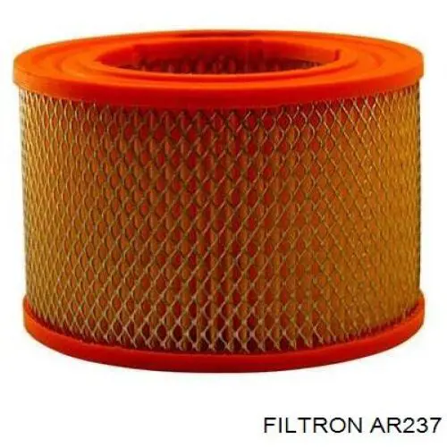 AR237 Filtron