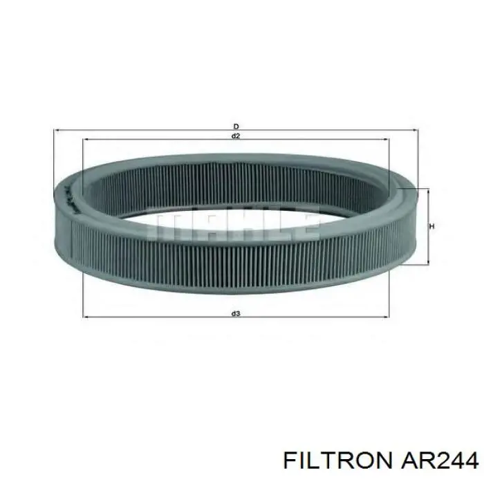 AR244 Filtron filtro de aire