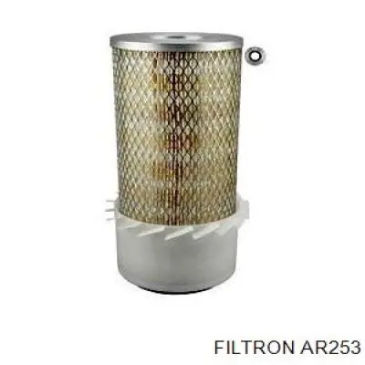 AR253 Filtron Filtro de aire de motor