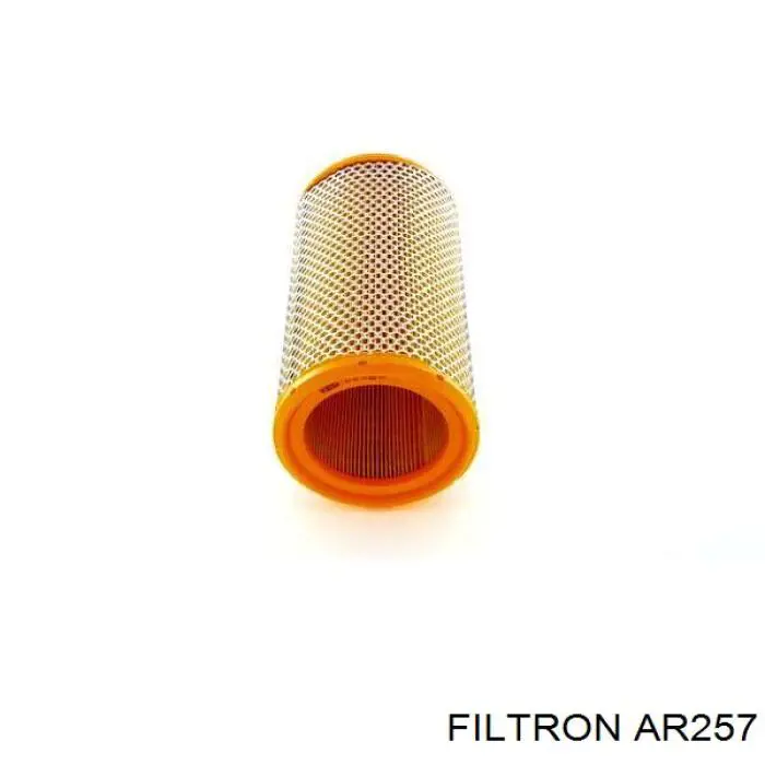 AR257 Filtron filtro de aire