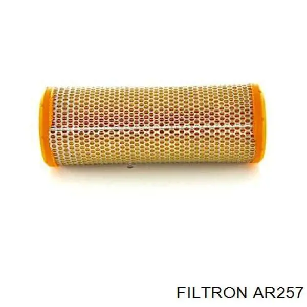 Comprar AR257 Filtron Filtro de aire