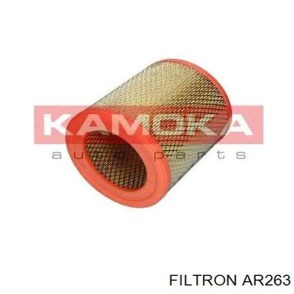 AR263 Filtron filtro de aire