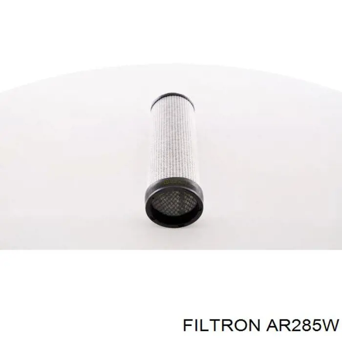 AF25558 Fleetguard Filtro de aire de motor