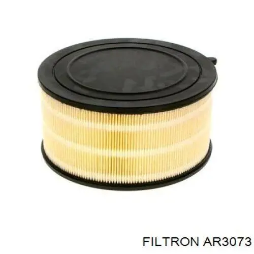 AR3073 Filtron filtro de aire