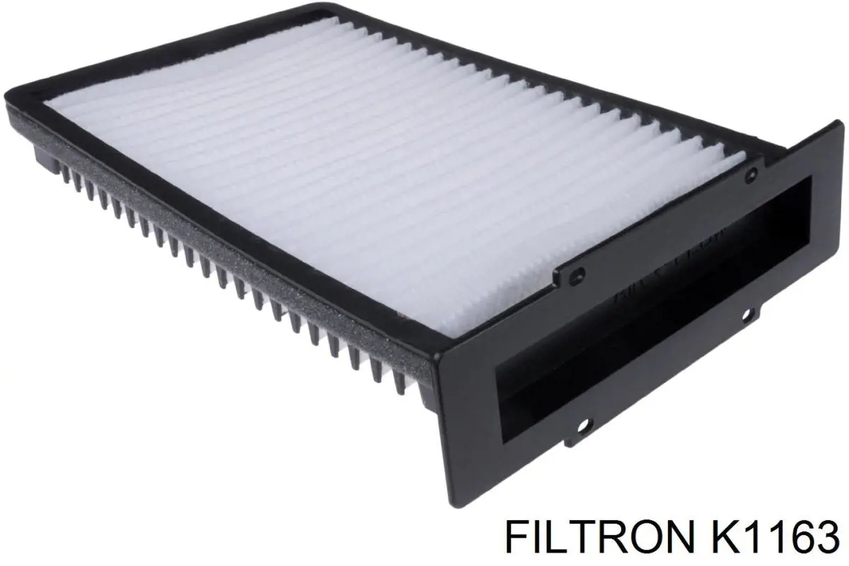 K1163 Filtron filtro habitáculo