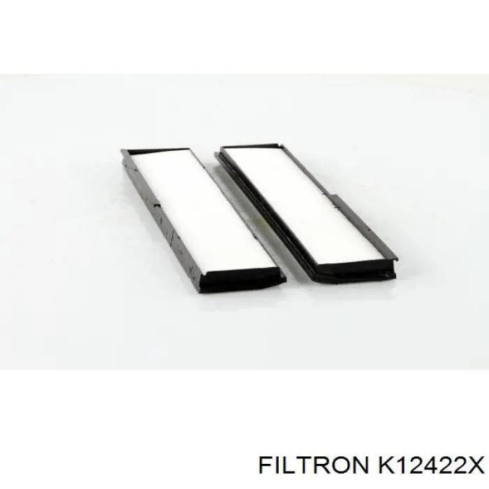 K12422X Filtron Filtro antipolen