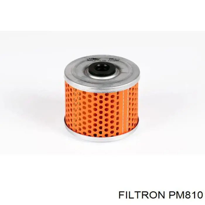 PM810 Filtron filtro combustible