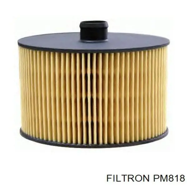 Filtro de combustible 8401117040 Rider