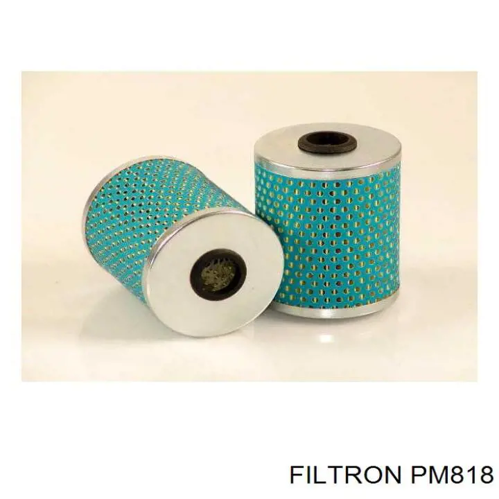 Filtro combustible Filtron PM818 precio, desde 4,45 EUR