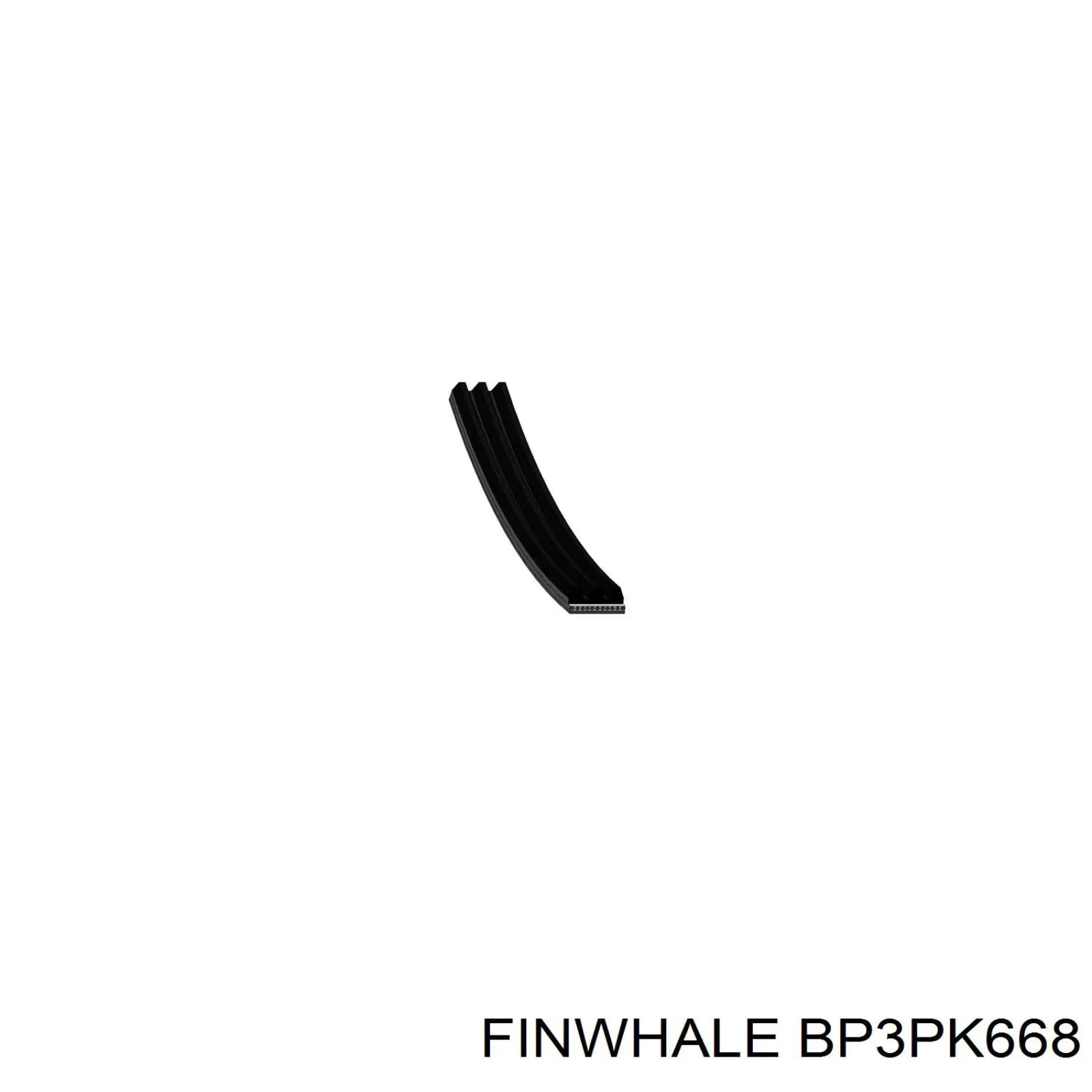 BP3PK668 Finwhale correa trapezoidal