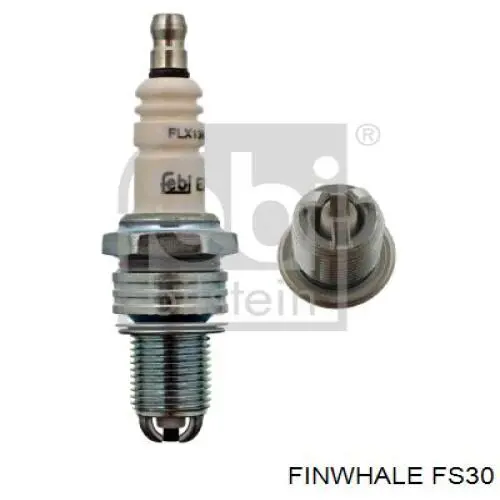 FS30 Finwhale Bujía de ignición