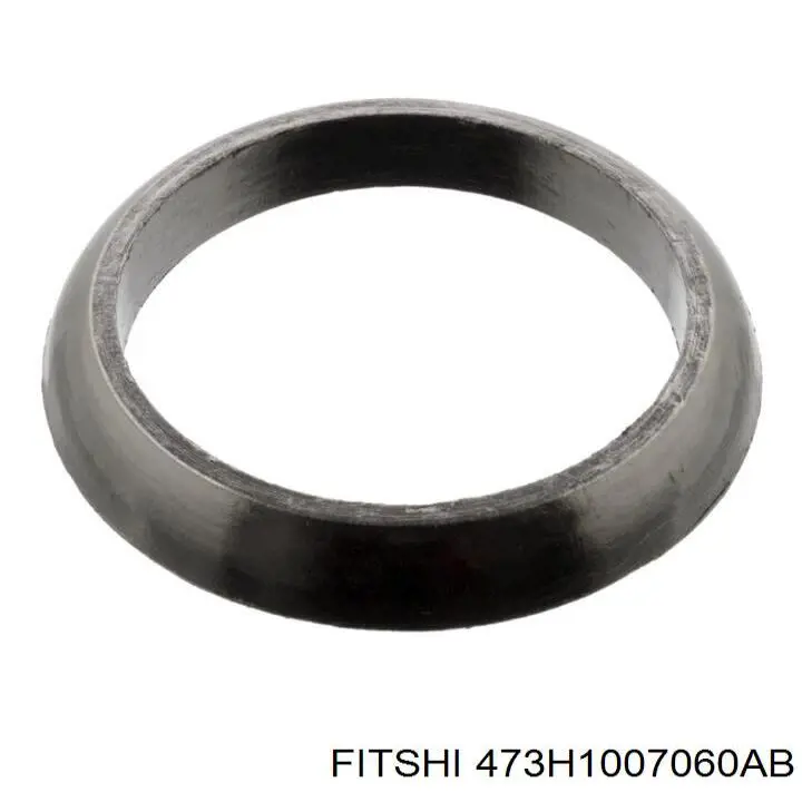 473H1007060AB Fitshi