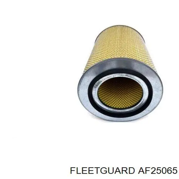 El filtro de aire Fleetguard AF25065 precio, desde 35,99 EUR