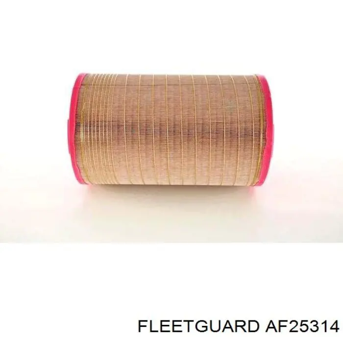 AF25314 Fleetguard filtro de aire