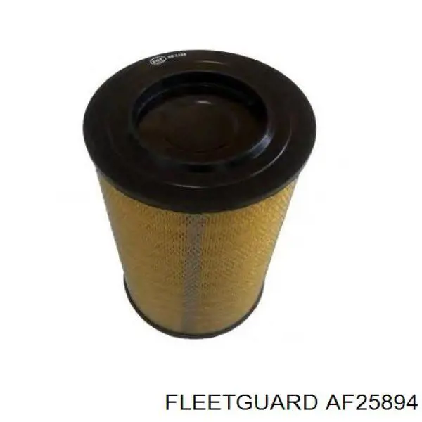 AF25894 Fleetguard filtro de aire