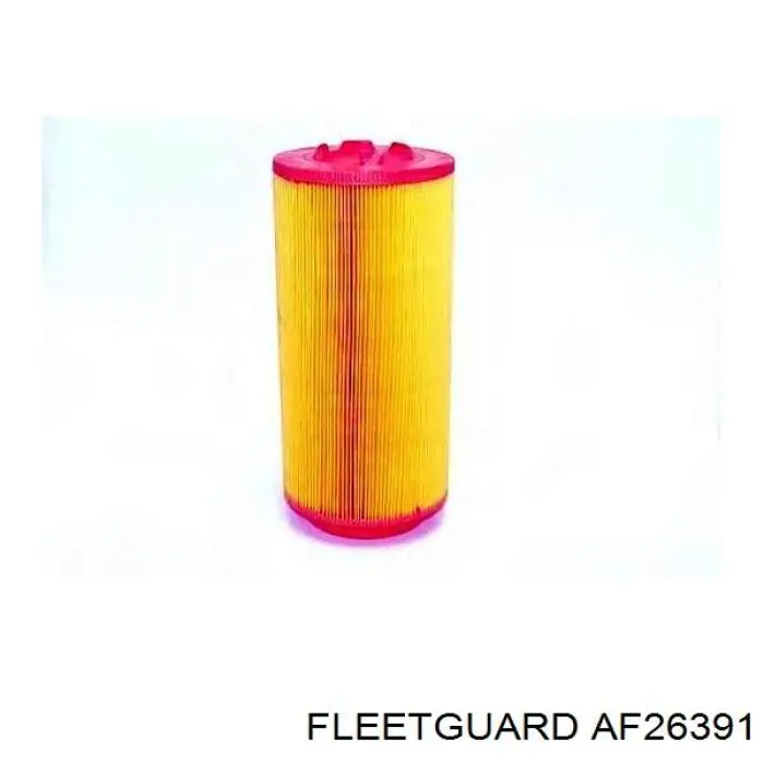 AF26391 Fleetguard filtro de aire