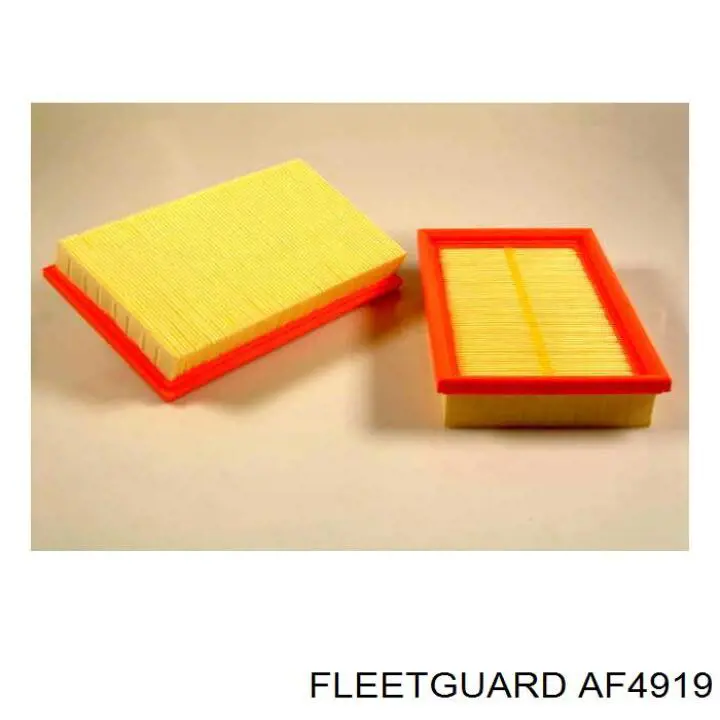 AF4919 Fleetguard filtro de aire