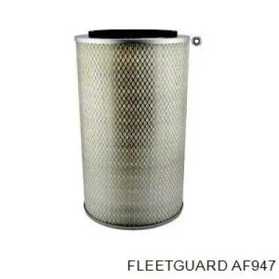 278609139910 Tata Filtro de aire de motor
