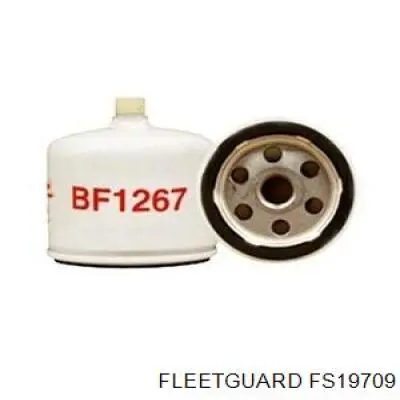 FS19709 Fleetguard