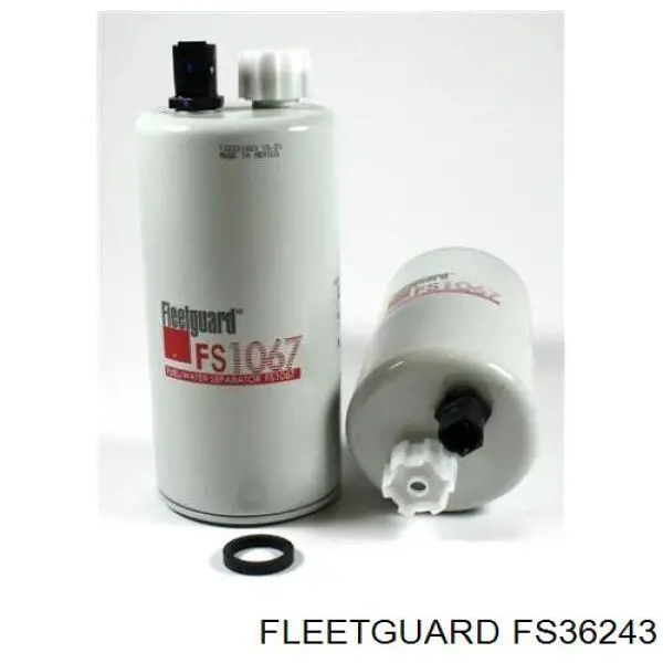 FS36243 Fleetguard Filtro de gasolina