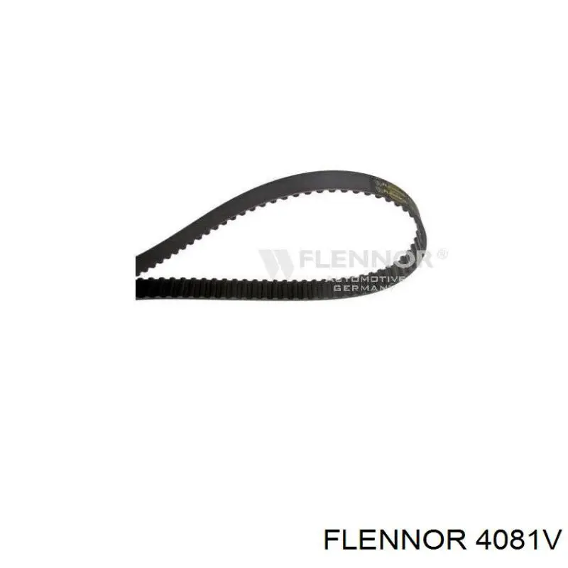 4081V Flennor correa distribucion