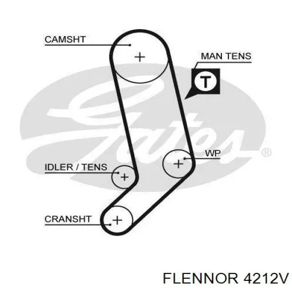 4212V Flennor correa distribucion