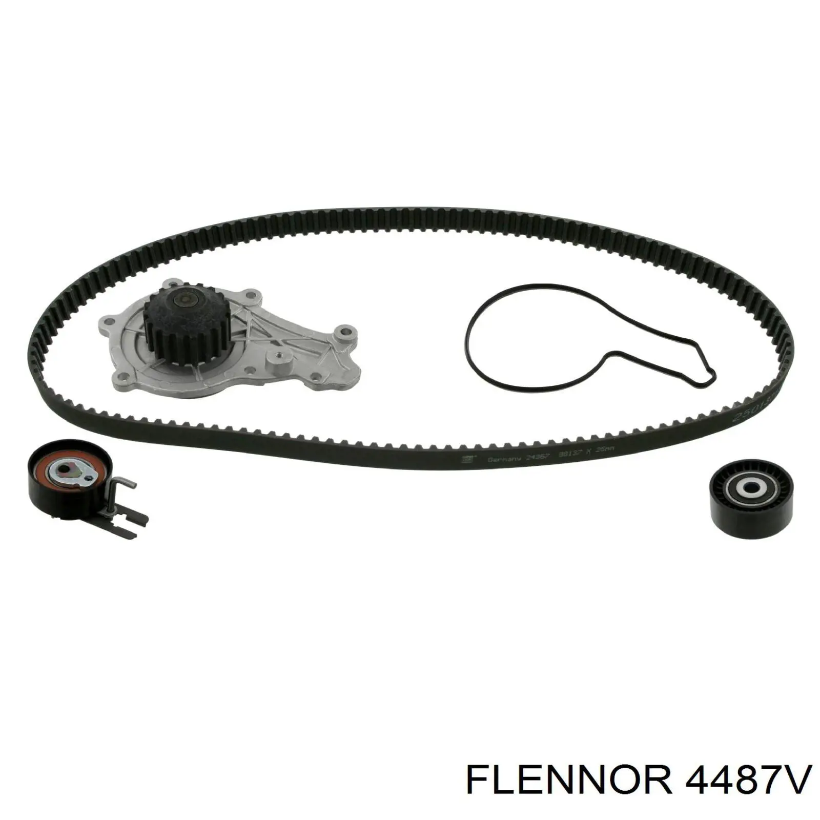 Correa distribucion Ford Fiesta JH, JD