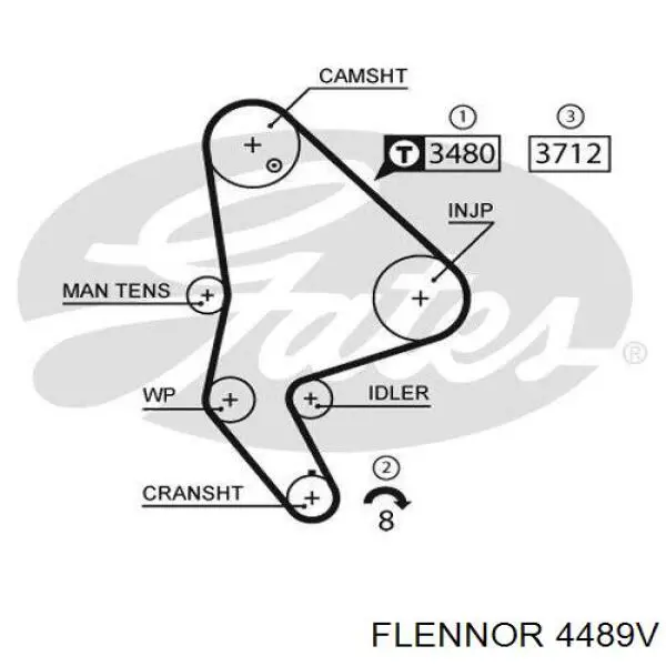 4489V Flennor correa distribucion