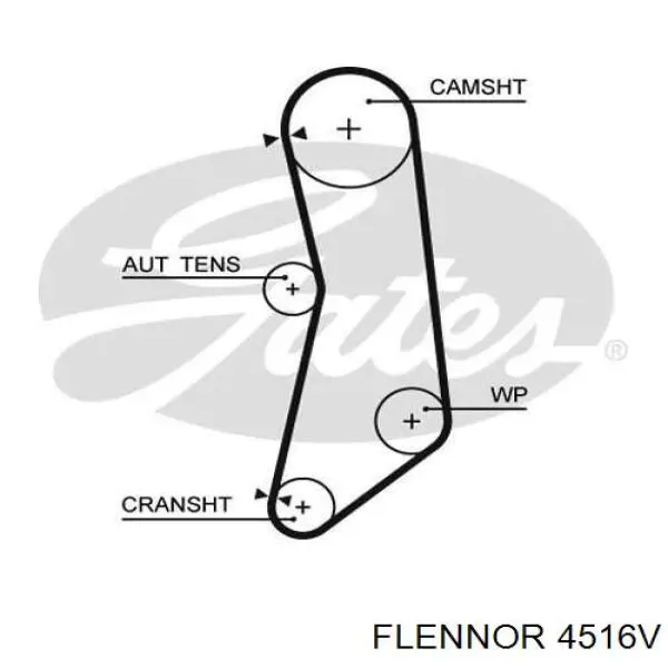 9S516K288B2A Ford Correa dentada