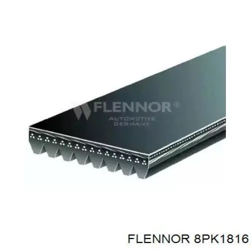 Correa de alternador 8PK1815 Continental/Siemens