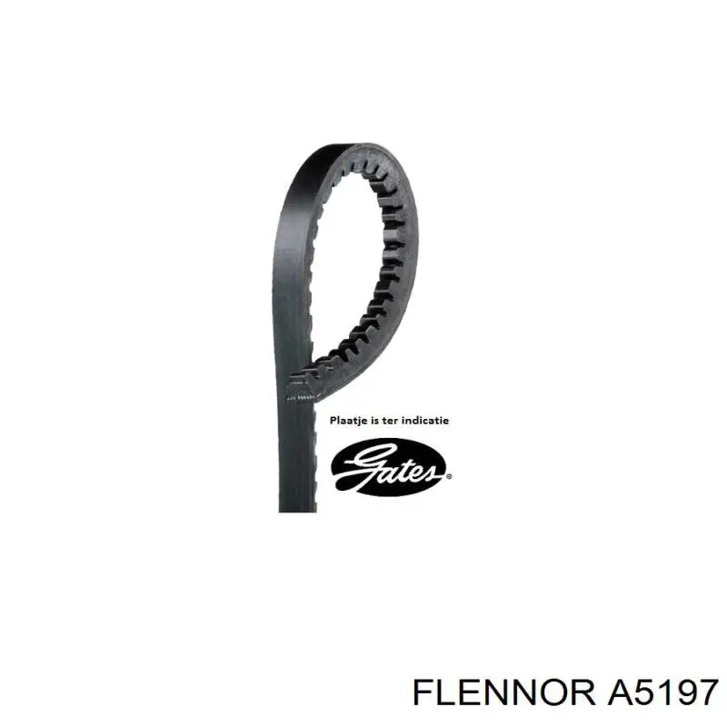 Comprar FB10X700 INA Correa trapezoidal
