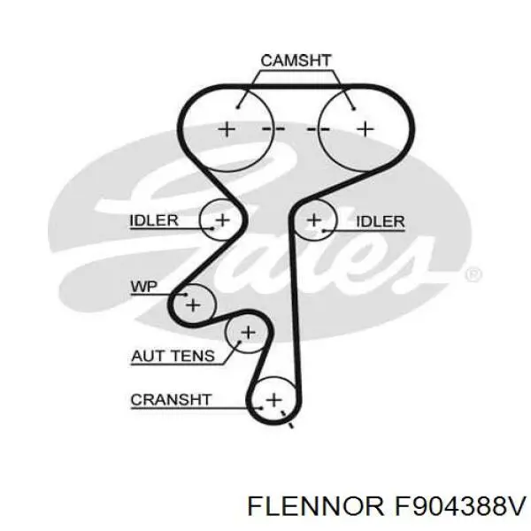 F904388V Flennor kit correa de distribución