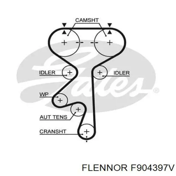 F904397V Flennor kit correa de distribución