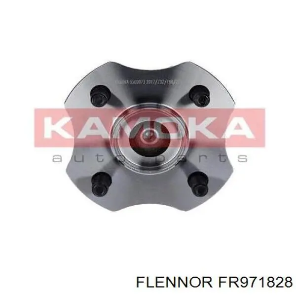 FR971828 Flennor cubo de rueda trasero