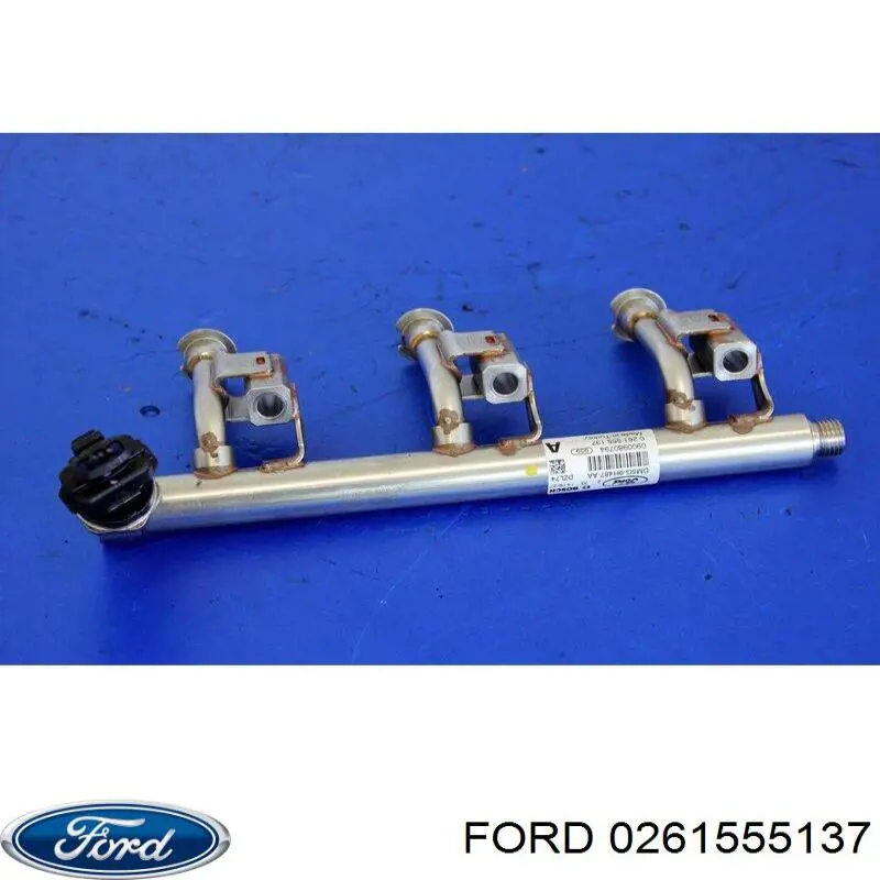 0261555137 Ford rampa de inyectores