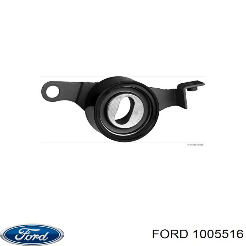 1005516 Ford rodillo, cadena de distribución