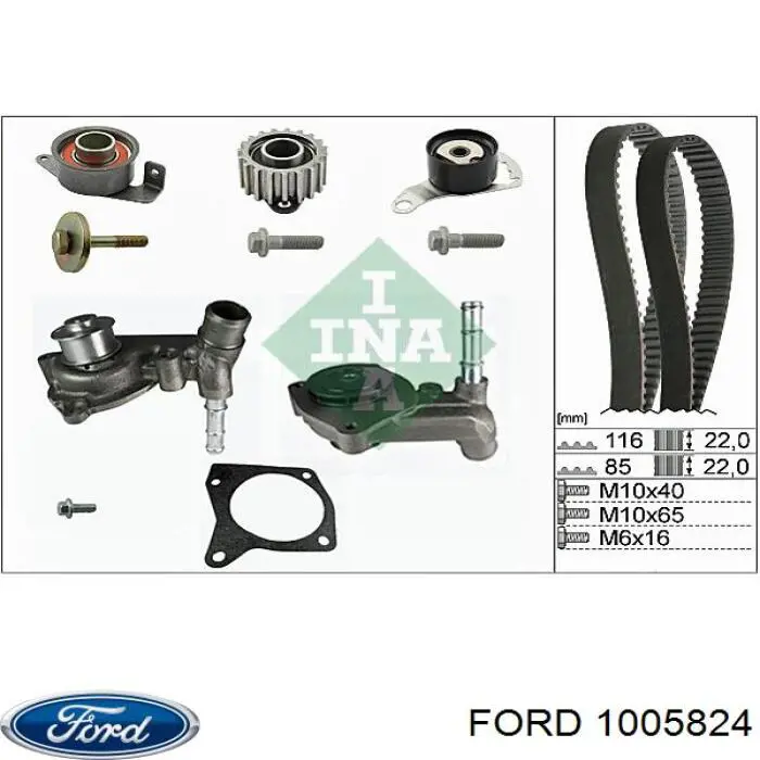 1005824 Ford correa distribucion
