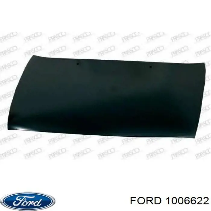 1006622 Ford capó