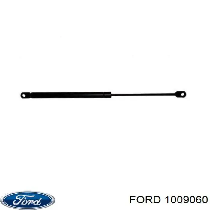 1009060 Ford amortiguador de maletero