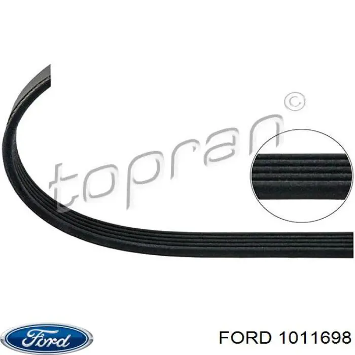 1011698 Ford correa trapezoidal