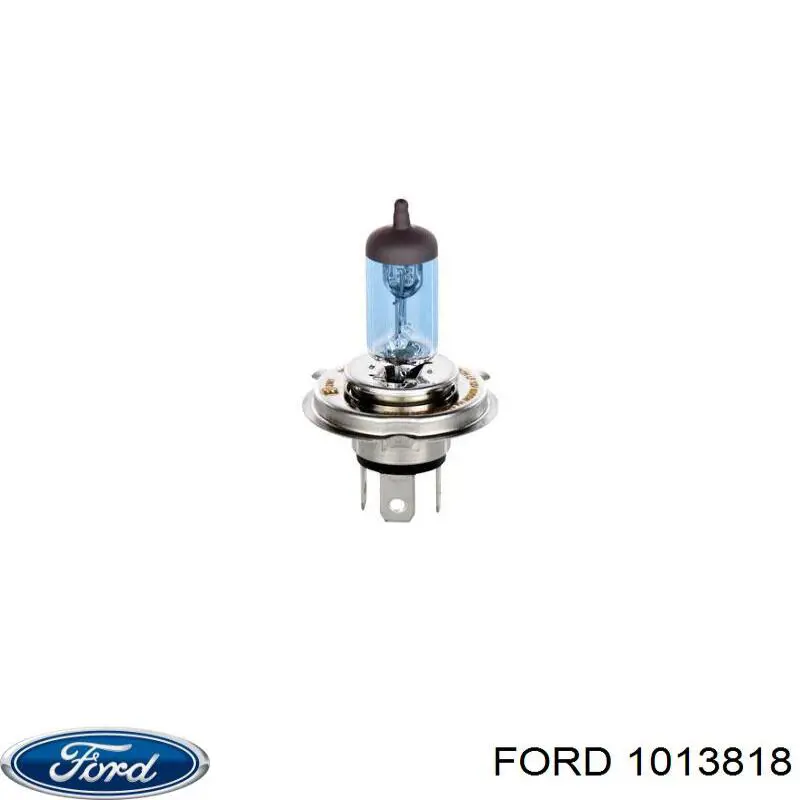 Lámpara halógena Ford 1013818 precio, desde 2,72 EUR