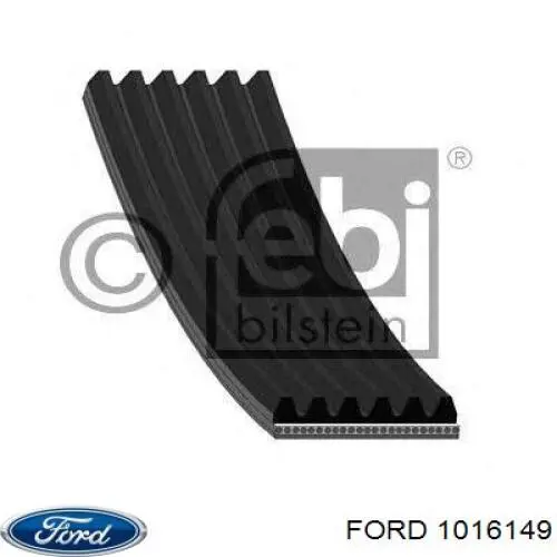 1016149 Ford juego completo de juntas, motor, inferior