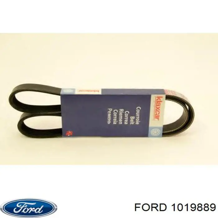 1019889 Ford correa trapezoidal