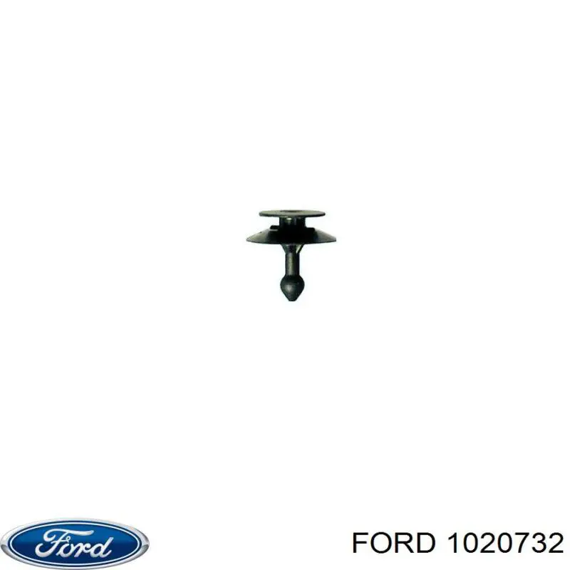 1020732 Ford